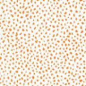 Meet your Posher, Eden